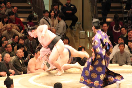 t]ŏグ鐨