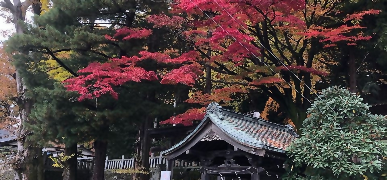 手長神社 境内の紅葉