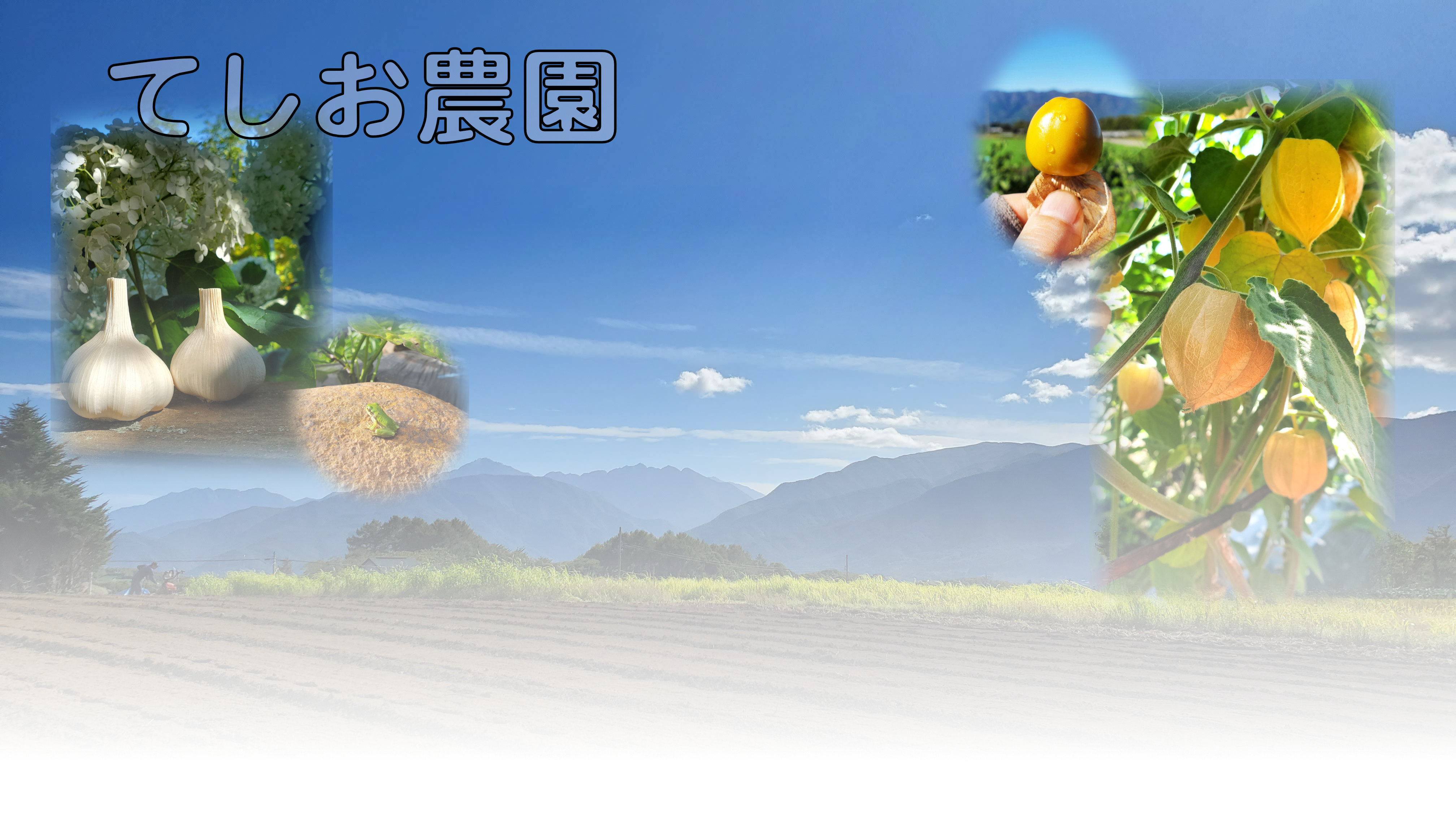 トップ画像