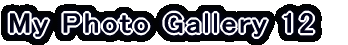 My Photo Gallery 2
