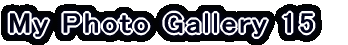 My Photo Gallery 2