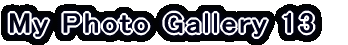 My Photo Gallery 2