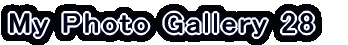 My Photo Gallery 22