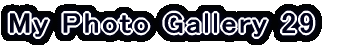 My Photo Gallery 22