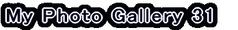 My Photo Gallery 22
