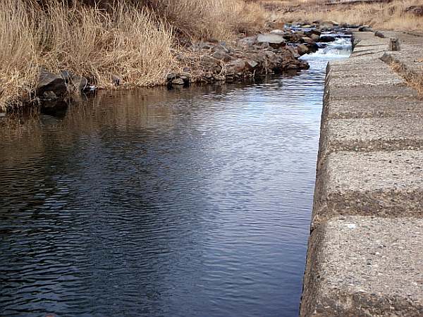釣り場