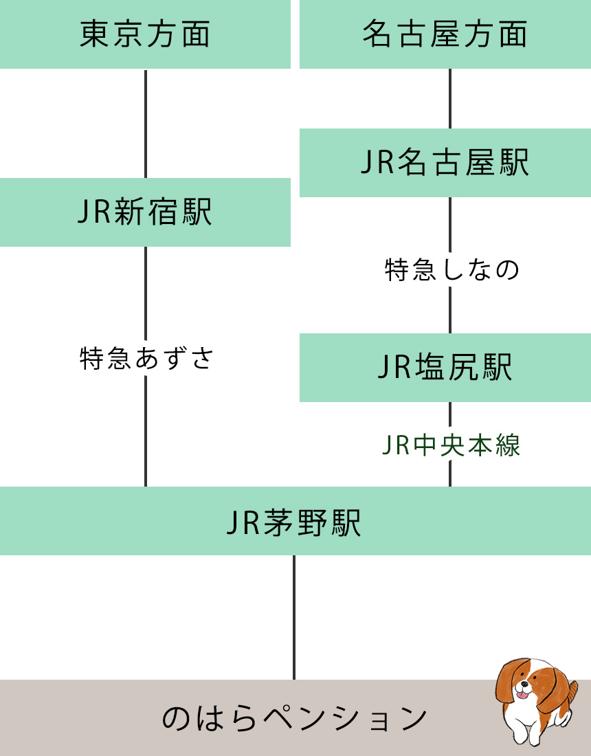 ACCESS