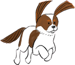 dog