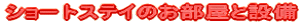 V[gXeĈƐݔ